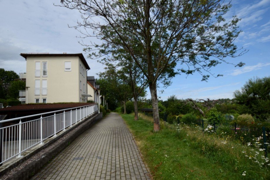 Fu�weg ins Gr�ne Erdgeschosswohnung Erfurt (Br�hlervorstadt)