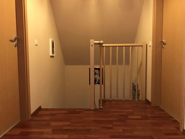 Flur im 1.OG Einfamilienhaus Erfurt