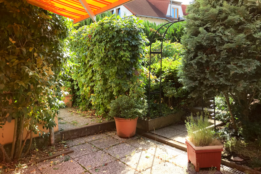 Terrasse mit Garten Doppelhaush�lfte Erfurt/ Salomonsborn