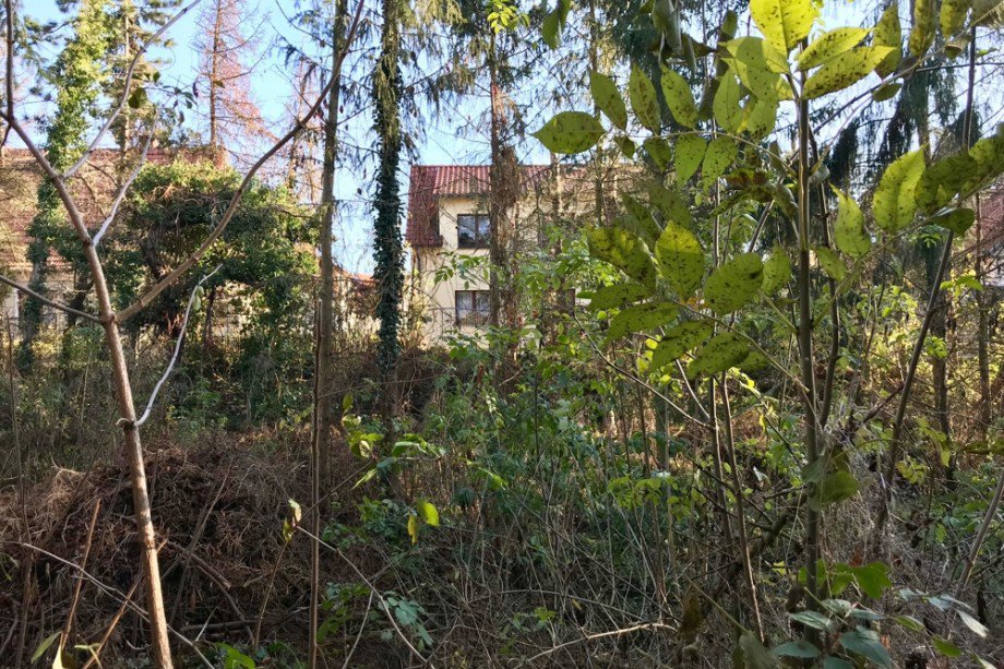 Viel Abstand zu Ihren Nachbarn Einfamilienhaus Tonna / Gr�fentonna