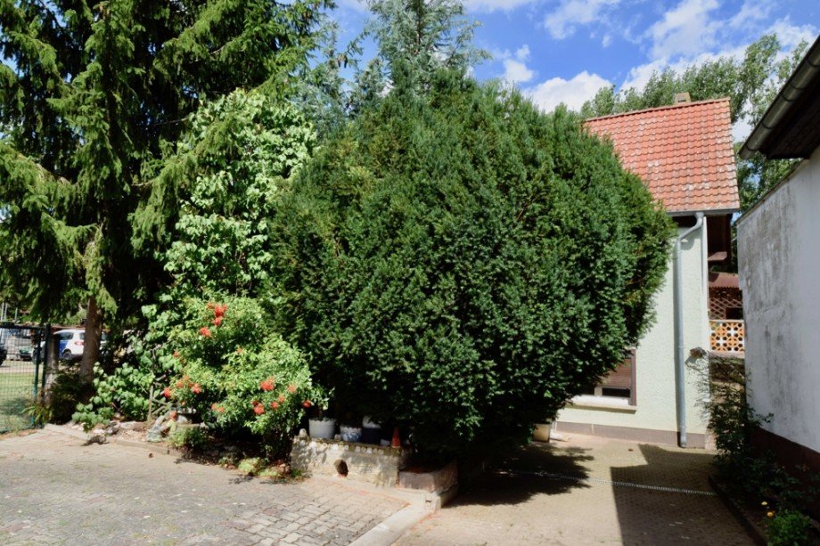 Wohnhaus versteckt hinter viel Gr�n Einfamilienhaus Kutzleben / L�tzens�mmern