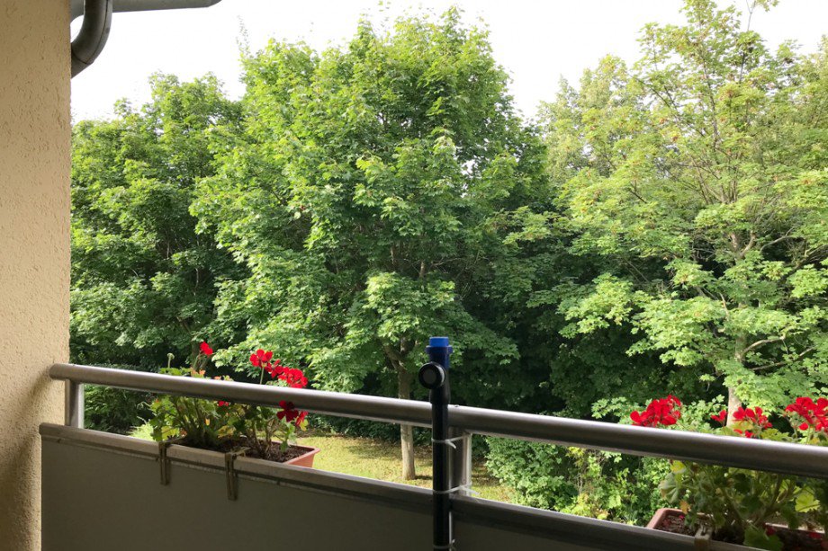 Balkonausblick Etagenwohnung Erfurt / Niedernissa