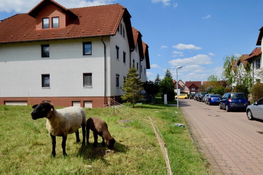 Idyllisches Wohngebiet Erdgeschosswohnung Haina