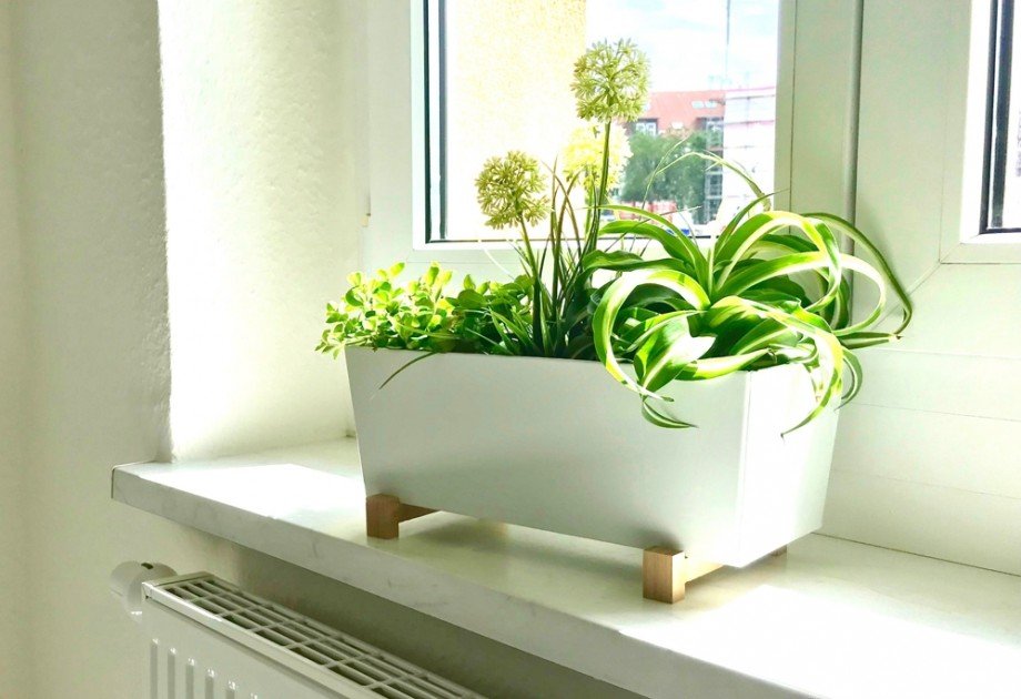 K�chenfenster Erdgeschosswohnung Erfurt