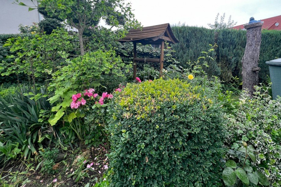 Garten mit eigenem Ginkobaum Doppelhaush�lfte Unstrut- Hainich /Gro�engottern