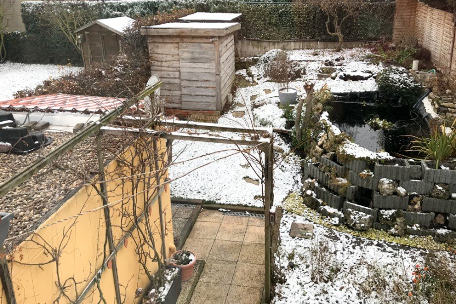 Garten (Teich & H�tte sind Mietereigentum) Doppelhaush�lfte Erfurt/ Salomonsborn