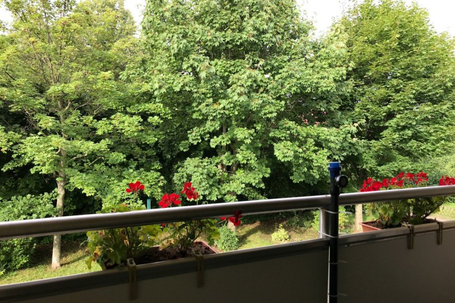 Blick ins Gr�ne vom Balkon Etagenwohnung Erfurt / Niedernissa