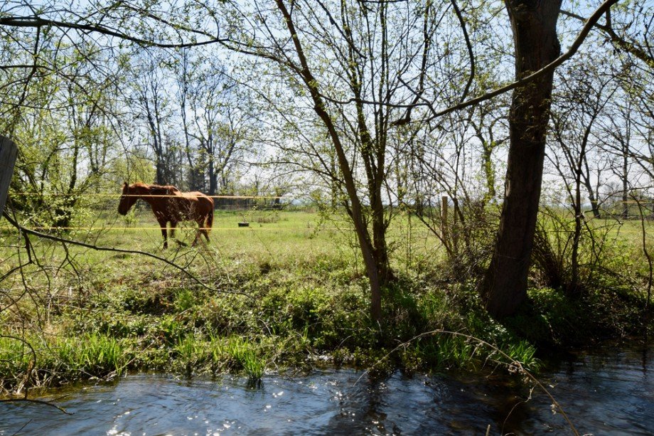 Grundst�ck am Bach Einfamilienhaus Riethnordhausen