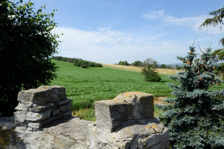 Blick vom Turm �ber die Felder Mehrfamilienhaus Bretleben