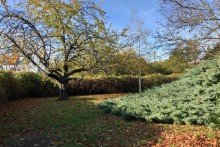 Ausblick in Nachbar's Garten Kleines Wohnhaus mit gro�em Potential