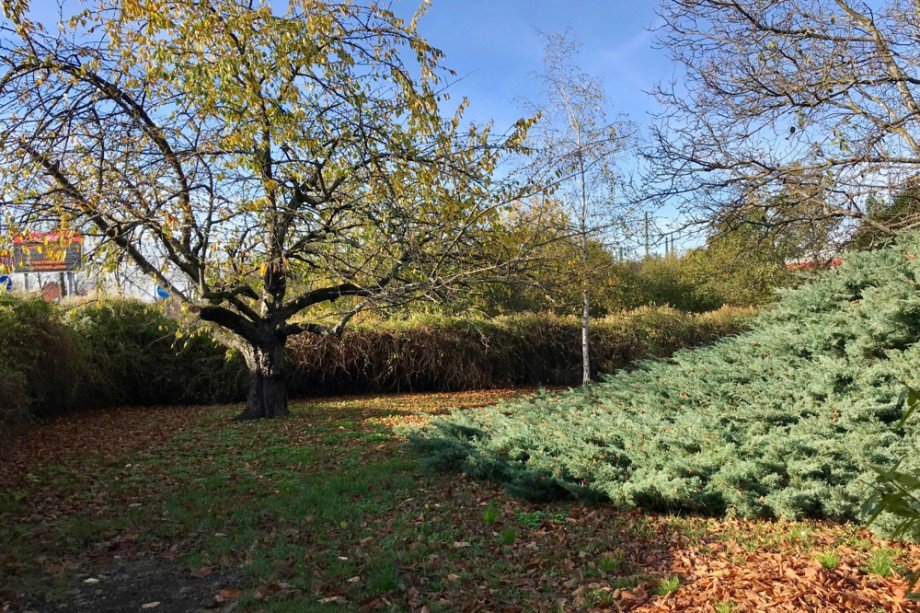 Ausblick in Nachbars Garten Einfamilienhaus Erfurt