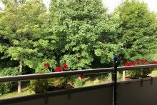 Blick ins Gr�ne vom Balkon Gepflegte Zweiraumwohnung mit Balkon & Garage in Erfurt Niedernissa