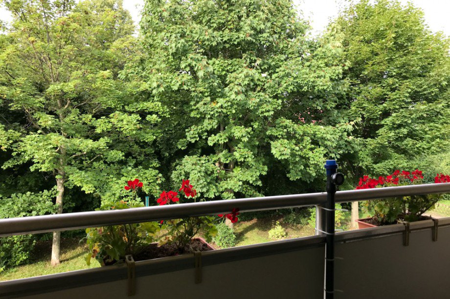 Blick ins Gr�ne vom Balkon Etagenwohnung Erfurt / Niedernissa