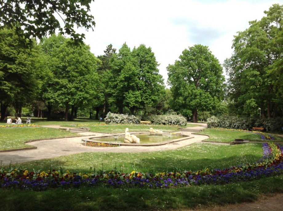Stadtpark Erfurt Dachgeschosswohnung Erfurt