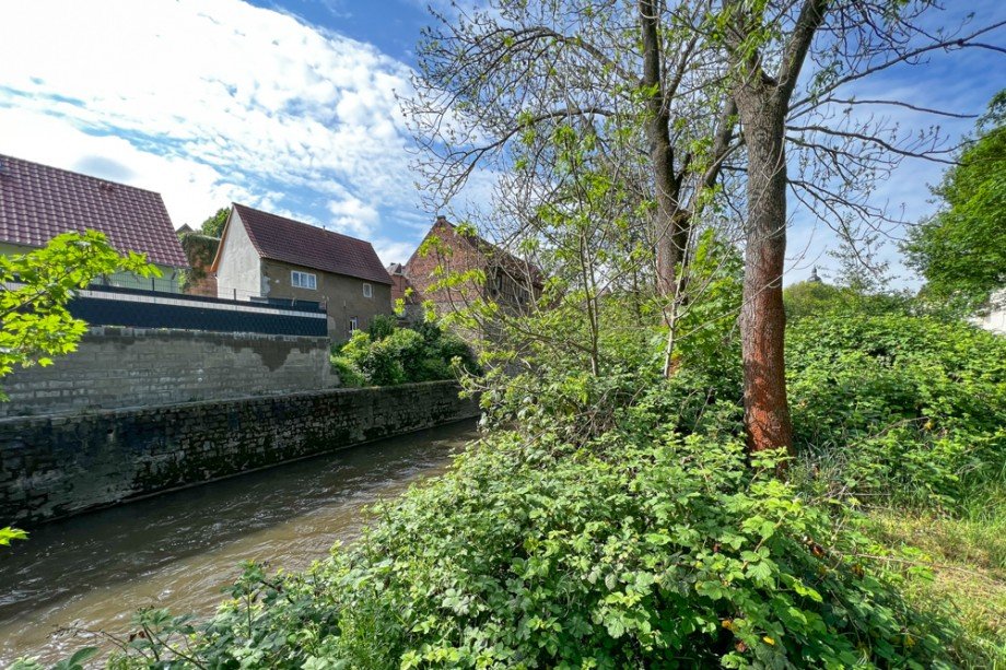 Perfekte Lage genau an der Ilm Bauernhaus Gro�heringen