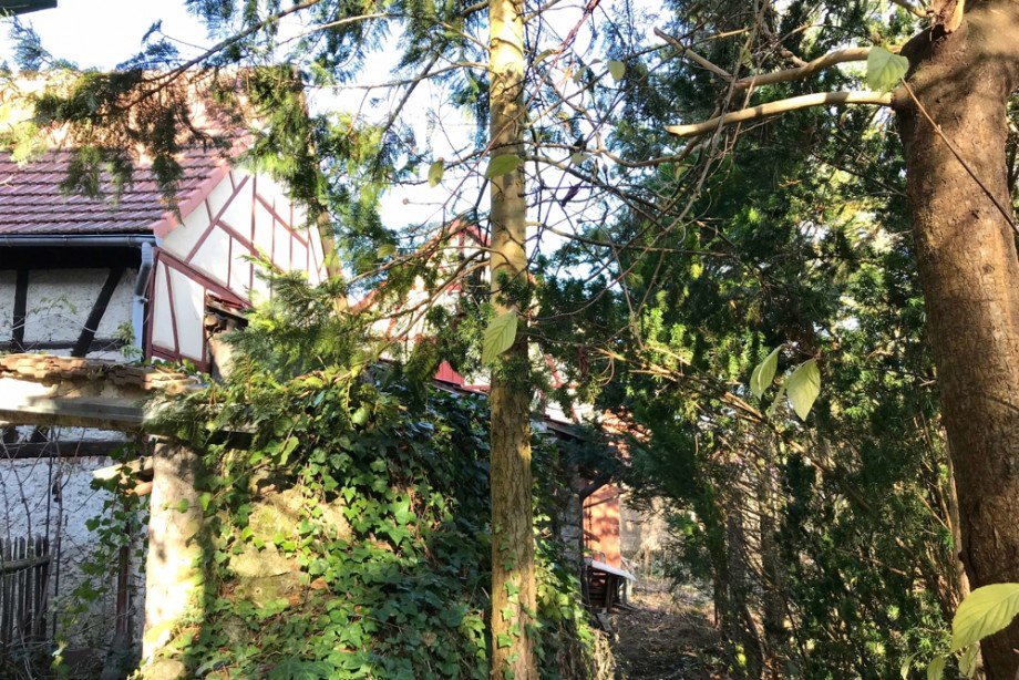 Vierseitenhof verwunschen im Wald Einfamilienhaus Tonna / Gr�fentonna
