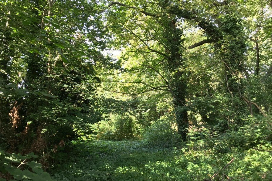 Komplett umz�unter Privatwald Einfamilienhaus Tonna / Gr�fentonna