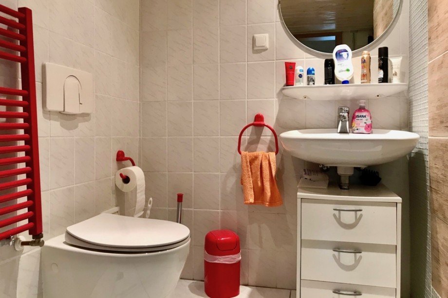 Modern ausgestattetes Duschbad Einfamilienhaus Arnstadt/ Marlishausen