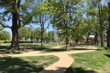 Kleiner Park Modernes Reihenhaus mit Winterg�rten, Sauna & gem�tlichem Innenhof