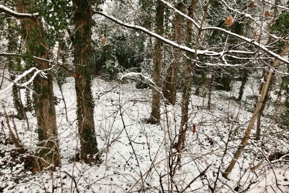 Winterwald Einfamilienhaus Tonna / Gr�fentonna
