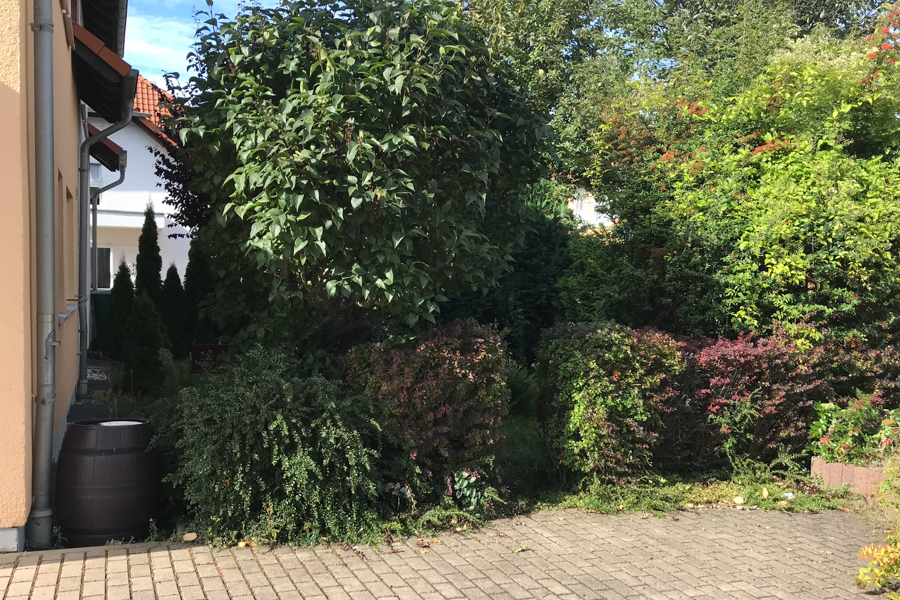Gro�er Vorgarten Doppelhaush�lfte Erfurt/ Salomonsborn