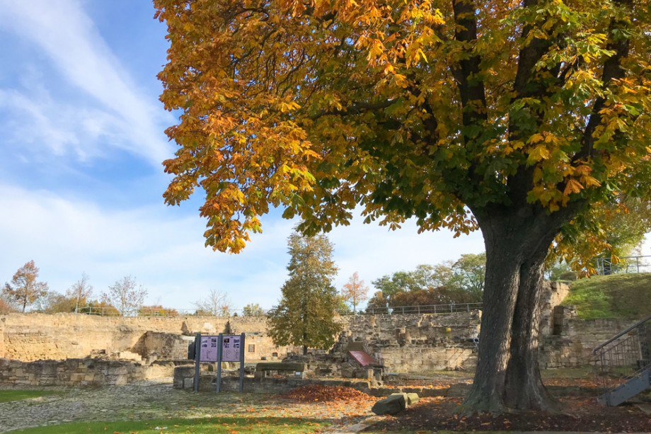 Schlossruine Herbsleben Erdgeschosswohnung Herbsleben