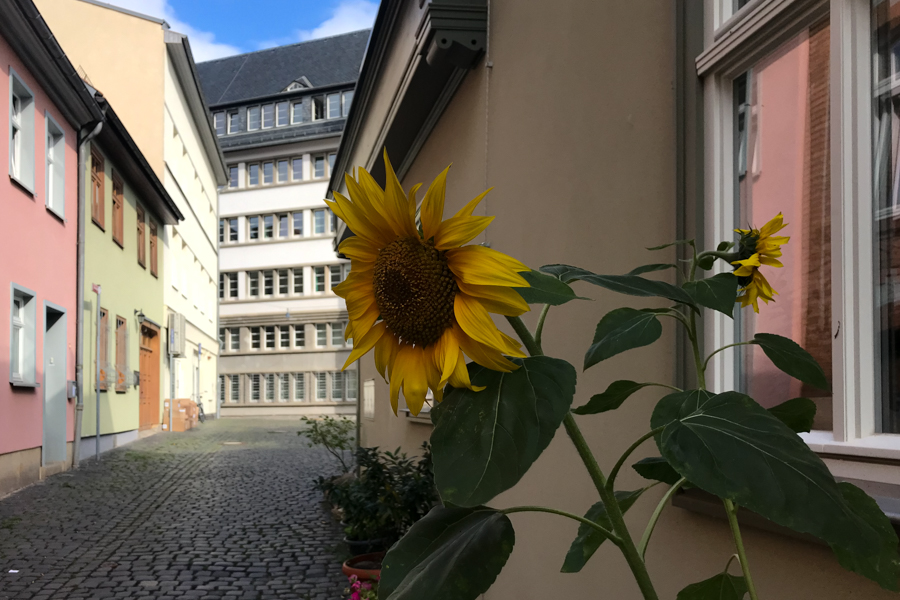 Wohnen in der Rathausgasse Erfurt Etagenwohnung Erfurt