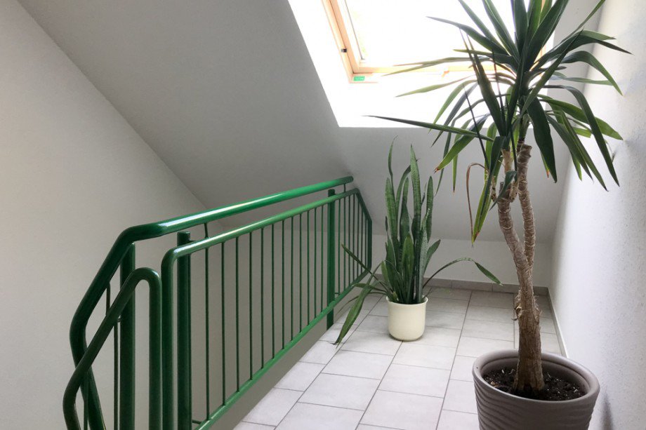 Gepflegtes Treppenhaus Dachgeschosswohnung Erfurt/ Gottstedt
