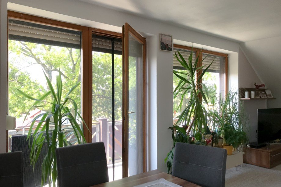 Terrassent�ren im Wohnzimmer Dachgeschosswohnung Erfurt/ Gottstedt