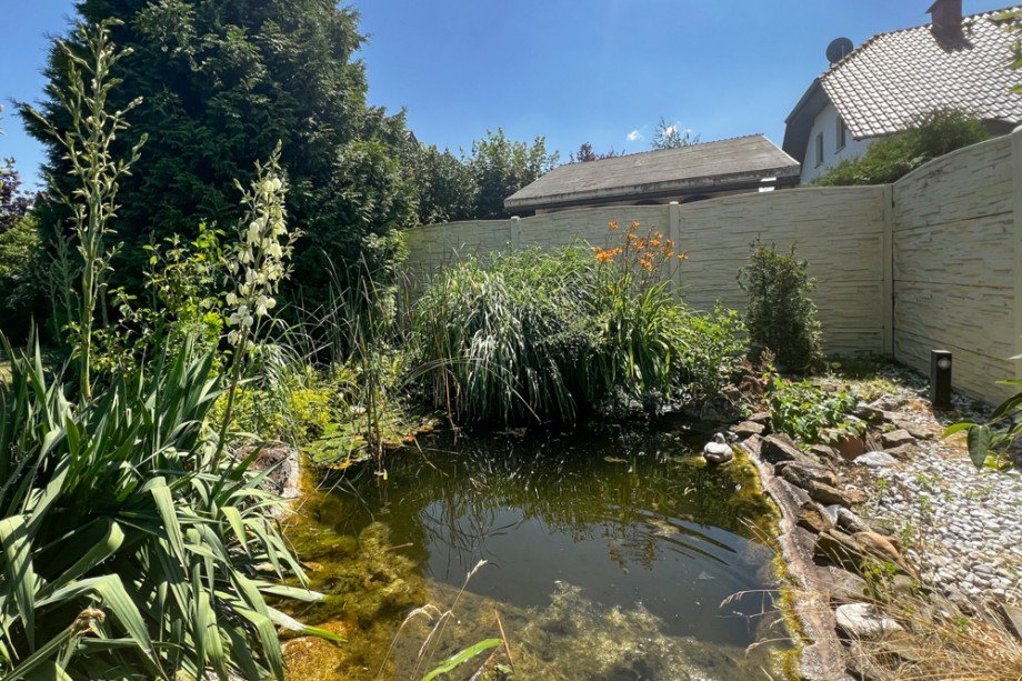 Gartenteich Einfamilienhaus Herbsleben