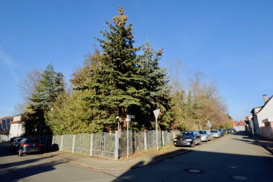 Gro�es Waldgrundst�ck mit Vierseitenhof Einfamilienhaus Tonna / Gr�fentonna