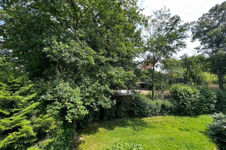 Garten hinter dem Haus Etagenwohnung Erfurt / M�bisburg-Rhoda