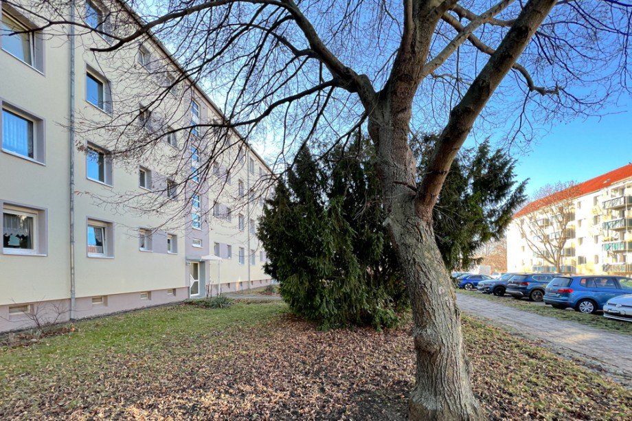 Gepflegte Wohnumgebung Etagenwohnung Erfurt