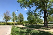 Umgebung- wie gescahffen f�r Spazierg�nge Modernes Reihenhaus mit Winterg�rten, Sauna & gem�tlichem Innenhof