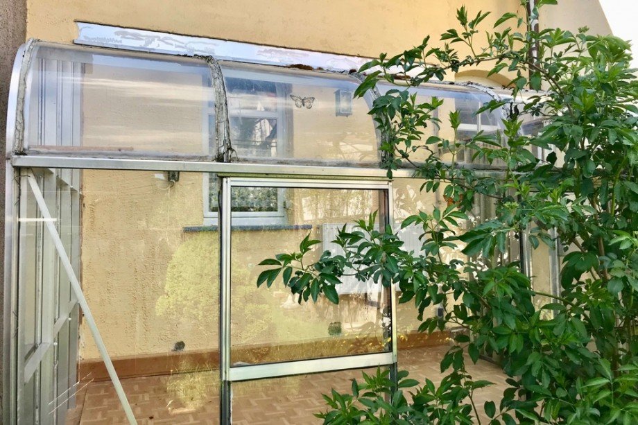 Kleines Gew�chshaus Doppelhaush�lfte Gr�fenhain/ Ohrdruf