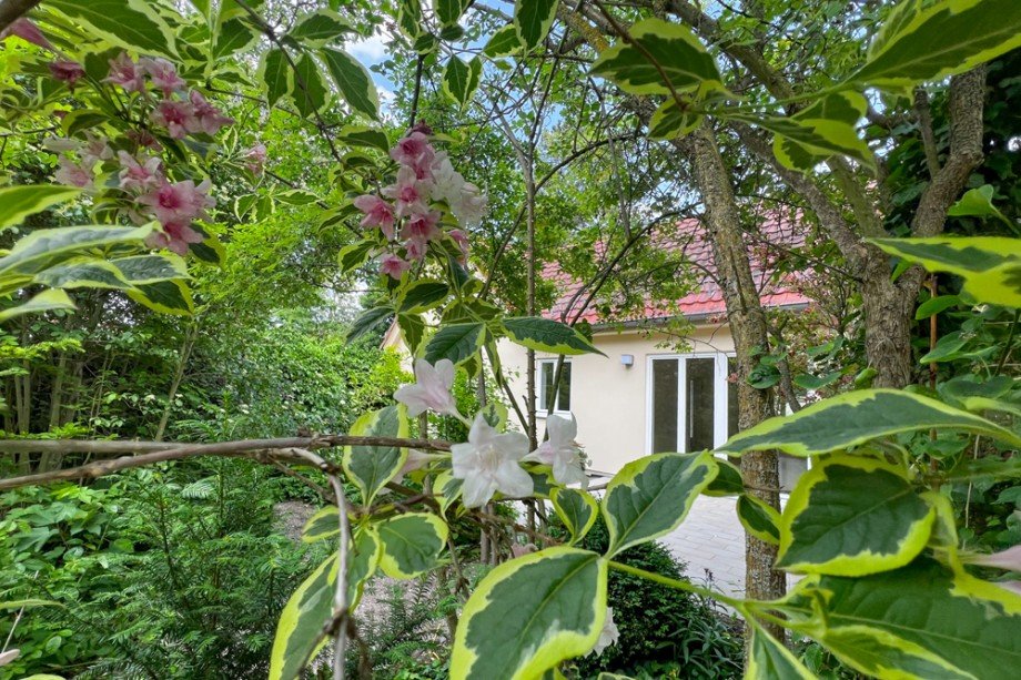 Versteckt im Gr�nen Erdgeschosswohnung Arnstadt