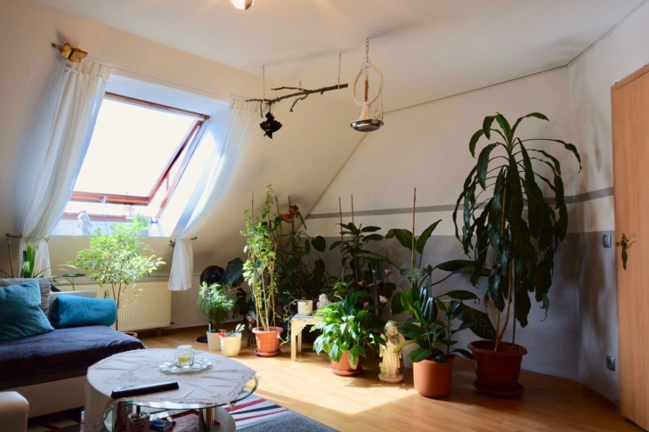 Wohnzimmer zum Wohlf�hlen Dachgeschosswohnung Erfurt