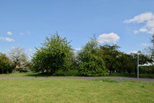 Wohnen im Gr�nen Perfektes Renditepaket mit 4 modernen 2Raumwohnungen