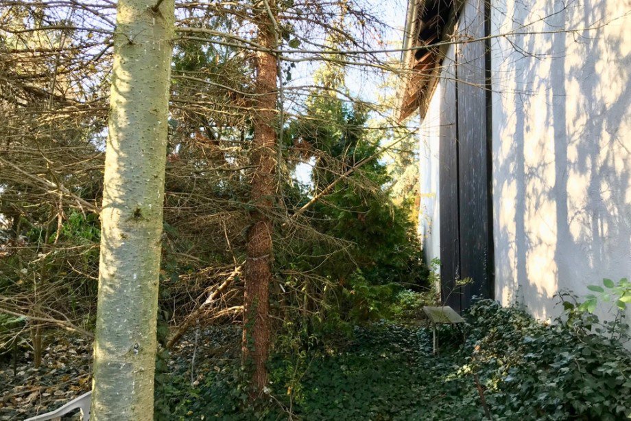 Scheunentor neue Scheune Richtung Privatwald Einfamilienhaus Tonna / Gr�fentonna