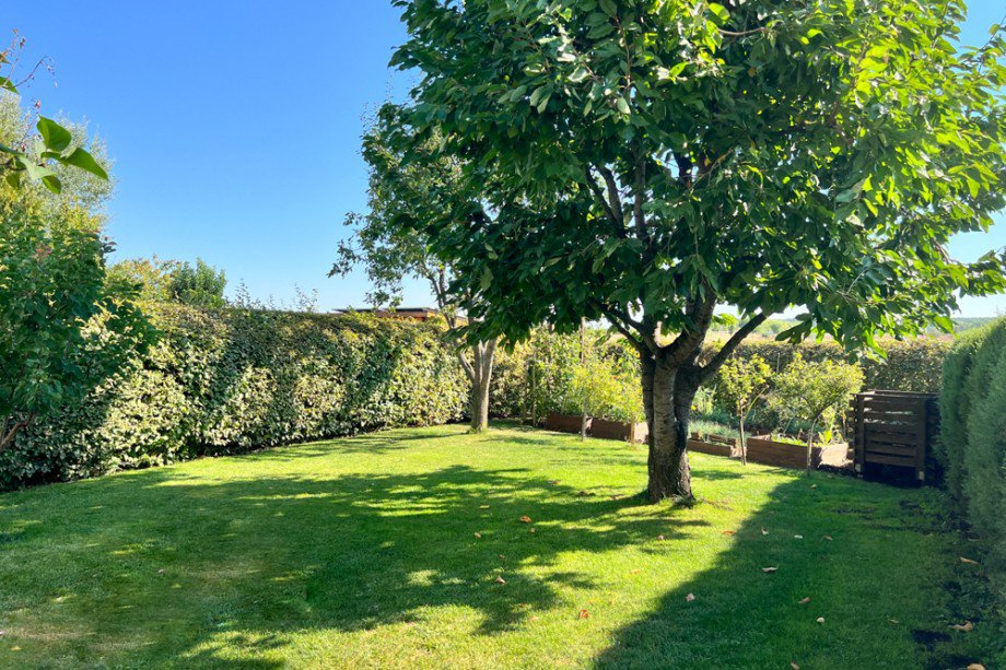 Gepflegter Hausgarten Reihenendhaus Erfurt / Gottstedt