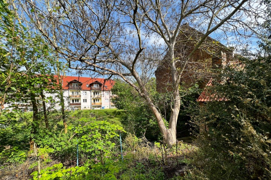 Garten am Wasser hinter der Scheune Bauernhaus Gro�heringen