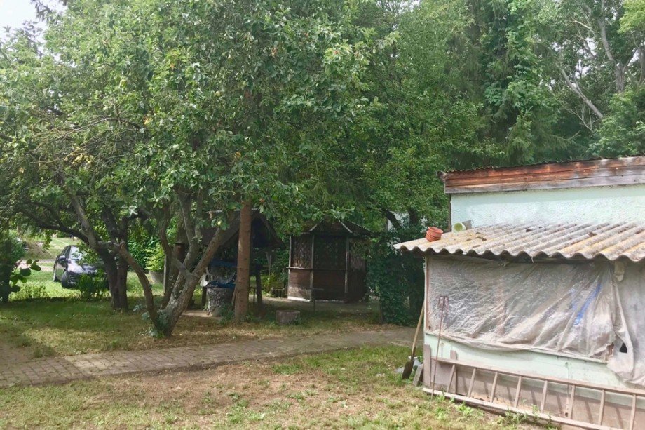 Garten hinter dem Haus Einfamilienhaus Kutzleben / L�tzens�mmern