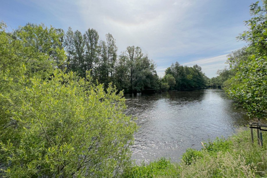 Flusslauf gegen�ber vom Haus Haus Saalfeld/Saale / Remsch�tz