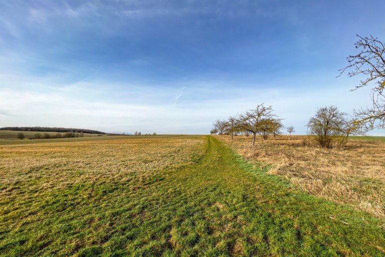 Hauptbild: Perfektes Baugrundst�ck Nr. 1 in Erfurt Molsdorf