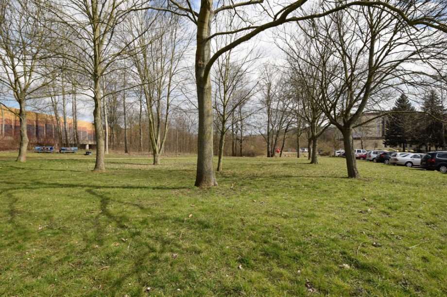 Park in Eisenach Etagenwohnung Eisenach
