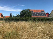 Feld hinter dem Grundst�ck Ihr neues Familiennest - modernes Einfamilienhaus mit kleinem Pool & Garten