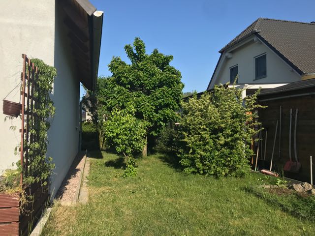 Obstb�ume im Garten Einfamilienhaus Erfurt