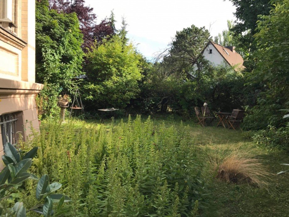 Gartenidyll Erdgeschosswohnung Erfurt