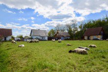 Nessetal OT Haina Perfektes Renditepaket mit 4 modernen 2Raumwohnungen