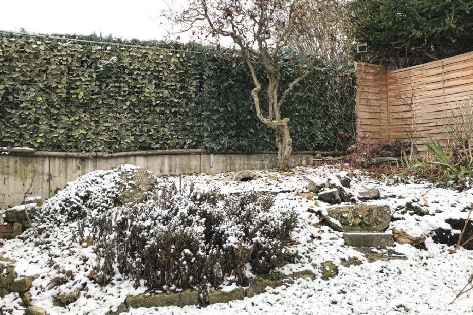Garten im Winter Doppelhaush�lfte Erfurt/ Salomonsborn